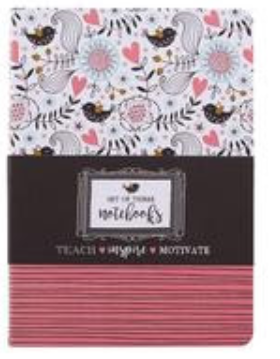 Set of 3 Teach Inspire Motivate Notebooks